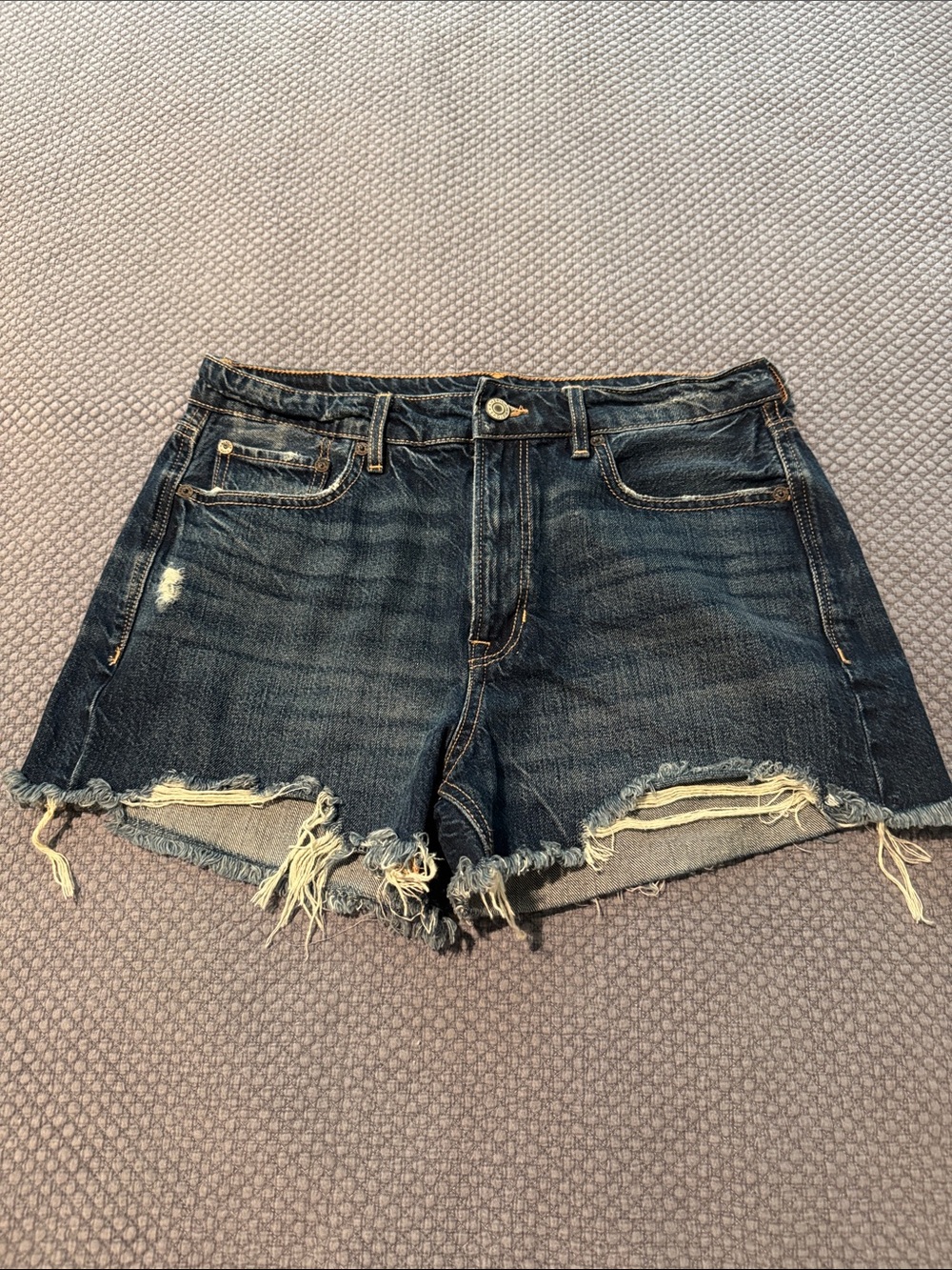 American Eagle Outfitters Dark Wash Distressed Denim Shorts